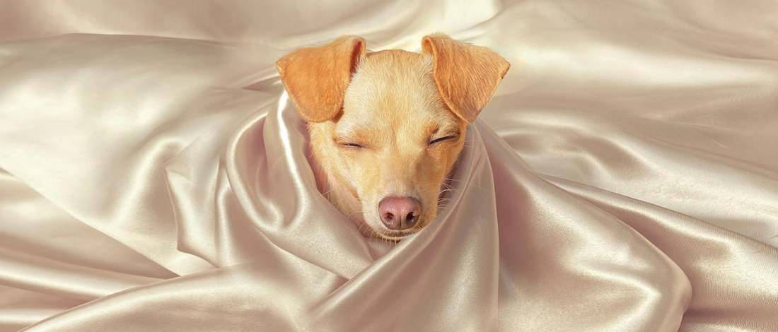 What’s the Deal with Silk and Satin Pillowcases?